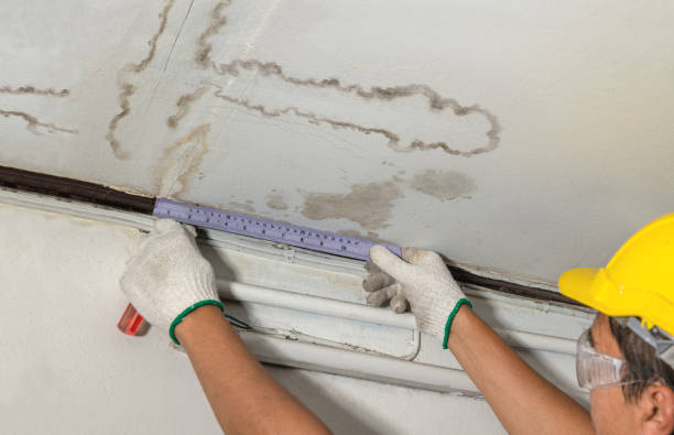 Affordable Water Damage Repair solutions in McClellanville, SC